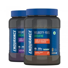 ENDURANCE CARB &...