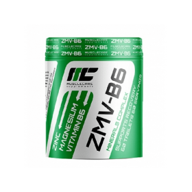 ZMV  B6-  90 Tabletas